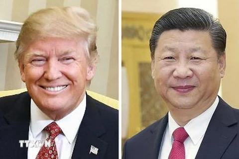 Chủ tịch Trung Quốc Tập Cận Bình (ảnh, trái) và Tổng thống Mỹ Donald Trump (ảnh, phải). (Nguồn: AFP/TTXVN)