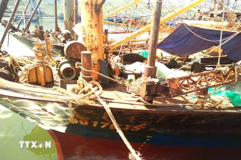 Hàng loạt tàu vỏ thép ở Bình Định vừa được đóng mới đã bị sét gỉ, hư hỏng nặng. (Ảnh: Nguyên Linh/TTXVN)
