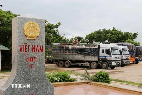 Xe chở gỗ nguyên liệu nhập khẩu chờ làm thủ tục tại cửa khẩu quốc tế Lao Bảo (Quảng Trị). (Ảnh: Phạm Hậu/TTXVN)
