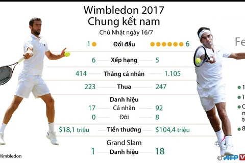 [Infographics] Những con số đáng chú ý tại trận chung kết Wimbledon