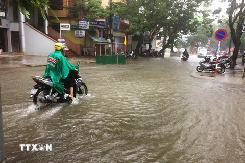 Ngập lụt trên tuyến đường Bến Nghé, thành phố Huế. (Ảnh: Hồ Cầu/TTXVN)