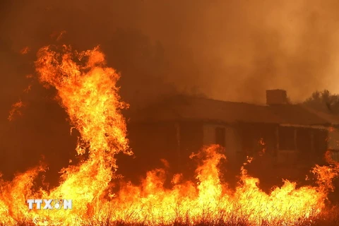 Khói lửa bốc ngùn ngụt trong vụ cháy rừng ở Mariposa, California (Mỹ) ngày 19/7. (Nguồn: AFP/TTXVN)