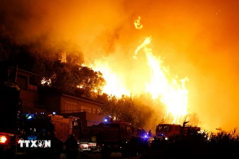 Lực lượng cứu hỏa dập lửa cháy rừng tại Biguglia, đảo Corsica, Pháp ngày 24/7. (Nguồn: AFP/TTXVN)