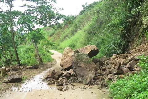 (Ảnh minh họa: Xuân Tiến/TTXVN)