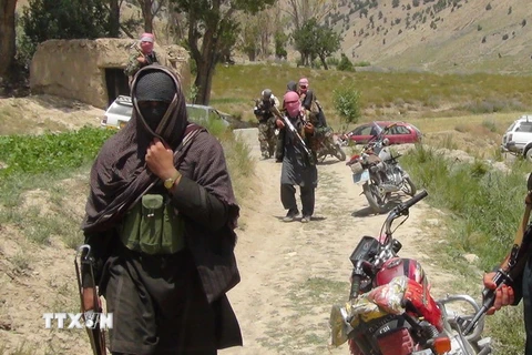Các tay súng Taliban kiểm soát khu vực quận Ahmad Aba, ngoại ô Gardez, thủ phủ tỉnh Paktia, Afghanistan ngày 18/7. (Nguồn: AFP/TTXVN)