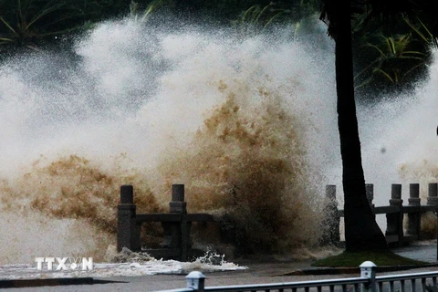 Sóng lớn khi bão Hato đổ bộ thành phố Chu Hải, tỉnh Quảng Đông ngày 23/8. (Nguồn: AFP/TTXVN)