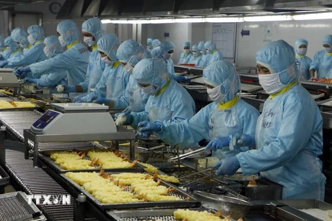 Chiên tôm tempura trong nhà máy Seavina. (Ảnh: Thanh Liêm/TTXVN)