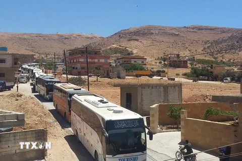 Xe chở nhóm phiến quân nổi dậy Syria từ Liban qua khu vực thị trấn biên giới Arsal giữa Liban-Syria ngày 31/7. (Nguồn: AFP/TTXVN)