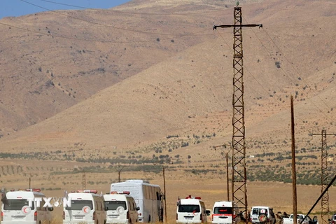 Đoàn xe chở các tay súng IS chuẩn bị rời khỏi Qara, tỉnh miền tây Qalamoun tới Deir al-Zour, ngày 28/8. (Nguồn: THX/TTXVN)