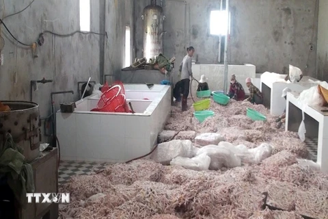 Gần 12 tấn chân gà không rõ nguồn gốc xuất xứ tại cơ sở sản xuất của Nguyễn Đức Nam. (Ảnh: Văn Đức/TTXVN)