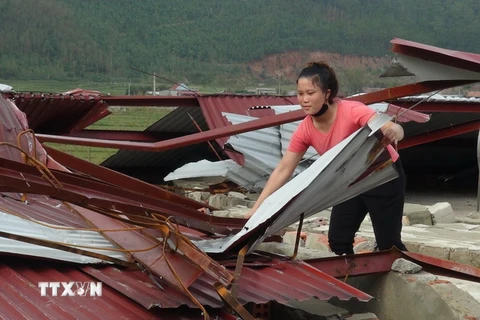 Người dân bãi ngang Quảng Đông (huyện Quảng Trạch) lợp lại mái nhà sau bão. (Ảnh: Đức Thọ/TTXVN)