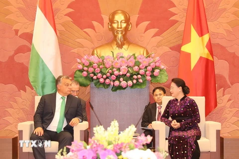 Chủ tịch Quốc hội Nguyễn Thị Kim Ngân hội kiến Thủ tướng Hungary Orbán Viktor đang có chuyến thăm chính thức Việt Nam. (Ảnh: Trọng Đức/TTXVN)