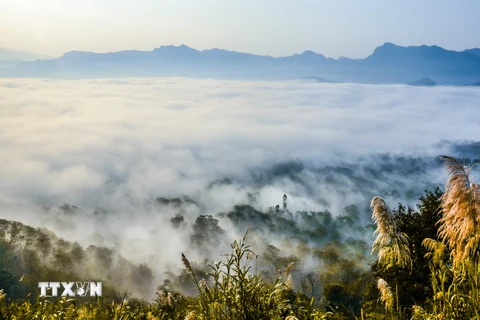Những buổi sáng sớm, từ trên đỉnh đèo, du khách có thể chiêm ngưỡng biển mây bao trùm thung lũng Mường Ảng bên những dãy núi tạo nên khung cảnh rất thơ mộng. (Ảnh: Xuân Tư/TTXVN)