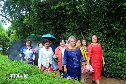 Đoàn cựu giáo viên kiểu bào Thái Lan tham quan Làng Sen. (Ảnh: Bích Huệ/TTXVN)
