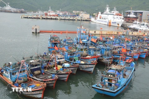 Các phương tiện tàu, thuyền di chuyển về nơi neo đậu an toàn tại âu thuyền Thọ Quang, Đà Nẵng. (Ảnh: Đinh Văn Nhiều/TTXVN)