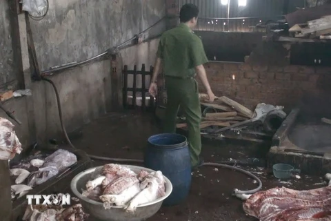 Lực lượng chức năng xác định, số thịt lợn trên được mổ từ những con lợn đã chết, bệnh, một số phần thịt có rất nhiều vết thâm tím và nổi mụn. (Ảnh: Lê Xuân/TTXVN)
