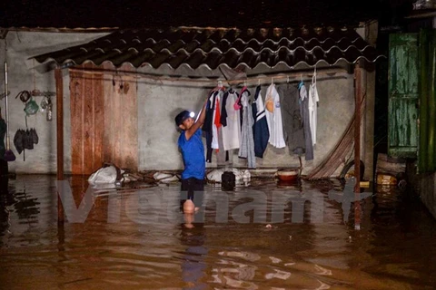 Nhiều khu vực dân cư sinh sống nước đã ngập sâu, có nơi ngập hơn 1 mét. (Ảnh minh họa: PV/Vietnam+)