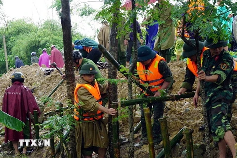 Các lực lượng bộ đội, công an, dân quân tự vệ tham gia gia cố đê. (Ảnh: Bích Huệ/ TTXVN)