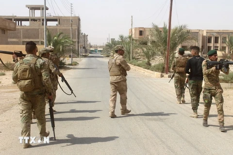 Binh sỹ Iraq trong chiến dịch truy quét phiến quân IS tại làng Anna, tỉnh Anbar. (Nguồn: AFP/TTXVN)