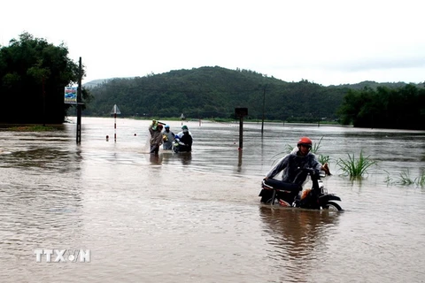 Tỉnh lộ 650 qua địa bàn xã An Định (huyện Tuy An) bị ngập sâu trong nước. (Ảnh: Thế Lập/TTXVN)