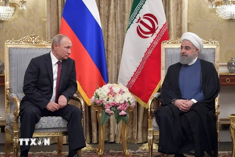 Tổng thống Nga Vladimir Putin (trái) trong cuộc hội đàm với người đồng cấp Iran Hassan Rouhani tại Tehran ngày 1/11. (Nguồn: AFP/TTXVN)
