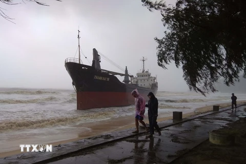Tàu hàng Thanh Hải 18 bị mắc cạn tại bãi biển Quy Hòa (phường Ghềnh Ráng, thành phố Quy Nhơn, Bình Định). (Ảnh: Quốc Dũng/TTXVN)