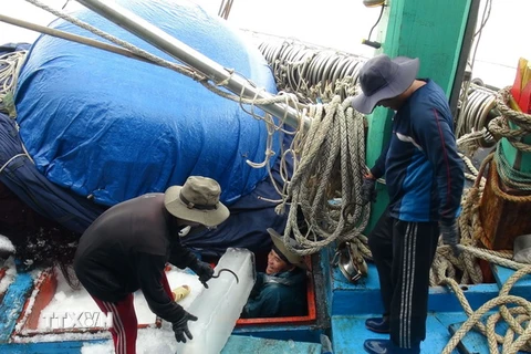 Ngư dân sửa lại lưới để ra khơi. (Ảnh: Nguyên Lý/TTXVN)