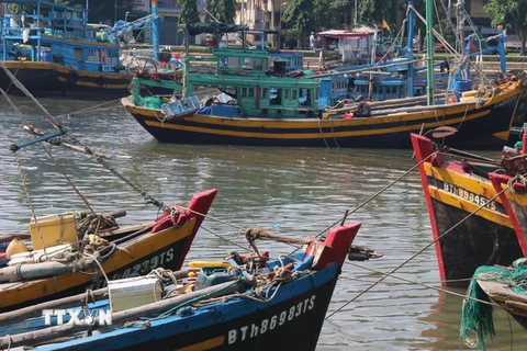 Tàu được chằng buộc neo đậu trên sông Cà Ty- Phan Thiết. (Ảnh: Nguyễn Thanh/TTXVN)