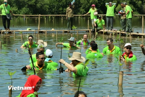 Các đại biểu tham gia trồng cây tại rừng ngập mặn Nam Jakarta, Indonesia. (Ảnh Đỗ Quyên/Vietnam+)