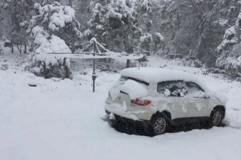 Tuyết rơi dày tới 40cm ở vùng cao nguyên miền Trung của bang Tasmania. (Nguồn: abc.net.au)