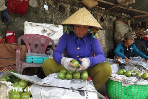 Tiểu thương chọn vú sữa giao cho khách hàng tại Chợ Trái cây Vĩnh Kim (Châu Thành, Tiền Giang). (Ảnh: Hồng Nhung/TTXVN)