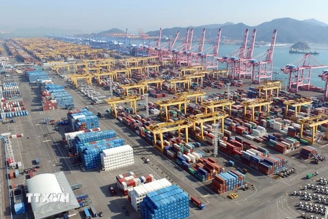 Cảng hàng hóa của tập đoàn vận tải Hanjin ở thành phố Busan, Hàn Quốc ngày 3/2. (Nguồn: AFP/TTXVN)