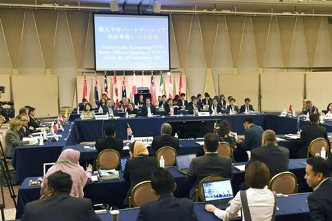 Toàn cảnh vòng đàm phán giữa 11 nước tham gia TPP tại Tokyo. (Nguồn: The Japan Times/ TTXVN)