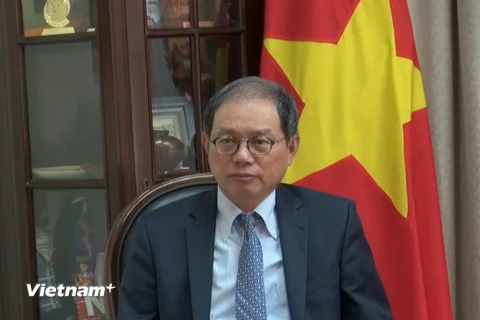 Đại sứ Việt Nam tại Chile Nguyễn Ngọc Sơn trả lời phỏng vấn phóng viên TTXVN bên lề lễ ký CPTPP. (Ảnh: Diệu Hương/Vietnam+)