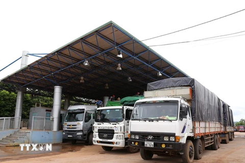 Xe hàng nhập khẩu qua cửa khẩu quốc tế Lao Bảo (Quảng Trị) chờ làm thủ tục kiểm tra. (Ảnh: Phạm Hậu/TTXVN)