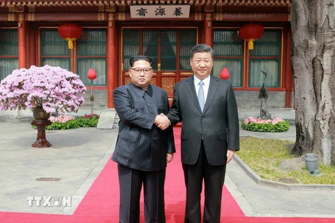 Nhà lãnh đạo Triều Tiên Kim Jong-un (trái) trong cuộc gặp Chủ tịch Trung Quốc Tập Cận Bình tại Bắc Kinh (Trung Quốc) ngày 27/3. (Nguồn: YONHAP/TTXVN)