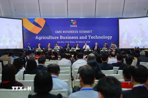 Các đại biểu phát biểu tại phiên thảo luận chuyên đề: “Ứng dụng công nghệ cao để thúc đẩy phát triển nông nghiệp khu vực GMS”. (Ảnh: TTXVN)