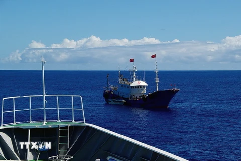 Tàu cá Trung Quốc tại vùng biển ở khu vực đảo Ogasawara thuộc vùng đặc quyền kinh tế của Nhật Bản ngày 27/10/2014. (Nguồn: AFP/TTXVN)