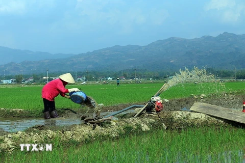 (Ảnh minh họa: Phan Tuấn Anh/TTXVN)