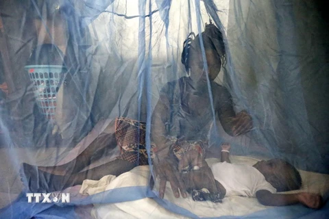 Mắc màn chống muỗi phòng bệnh sốt rét gần Abidjan, Cote d'Ivoire. (Nguồn: EPA/TTXVN)