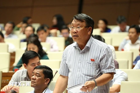 Đại biểu Quốc hội tỉnh Lâm Đồng Nguyễn Tạo phát biểu. (Ảnh: Dương Giang/TTXVN)