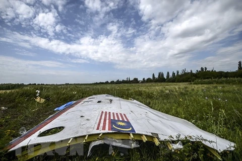 Mảnh vỡ máy bay MH17 tại khu vực gần làng Grabove, Donetsk, Ukraine ngày 20/7/2014. (Nguồn: AFP/TTXVN)