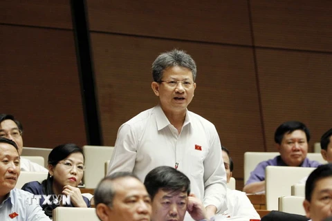 Đại biểu Quốc hội tỉnh Quảng Trị Đỗ Văn Sinh phát biểu. (Ảnh: Văn Điệp/TTXVN)