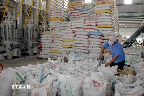 Chế biến gạo xuất khẩu tại Xí nghiệp Chế biến lương thực cao cấp Tân Túc (huyện Bình Chánh, TP.HCM). (Ảnh: Đình Huệ/TTXVN)