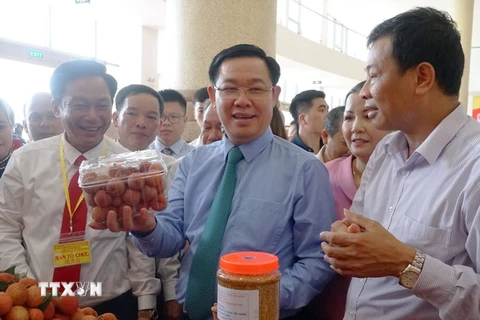 Phó Thủ tướng Vương Đình Huệ thăm gian trưng bày vải thiều của huyện Lục Ngạn. (Ảnh: Tùng Lâm/TTXVN)