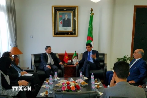 Đại sứ Phạm Quốc Trụ làm việc với tỉnh Mostaganem, Algeria. (Ảnh: Tất Đạt/TTXVN)