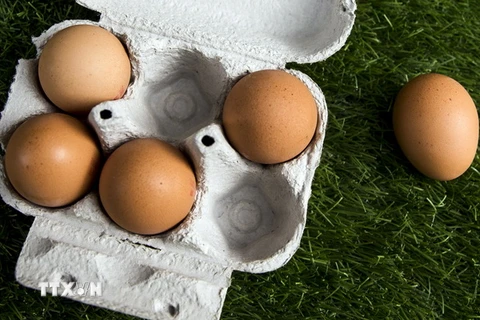 Trứng gà mua tại một siêu thị ở Paris, Pháp. (Nguồn: EPA/TTXVN)