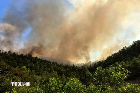 Đám cháy bùng phát dữ dội từ rừng xã Châu Lộc. (Ảnh: Trịnh Duy Hưng/TTXVN)