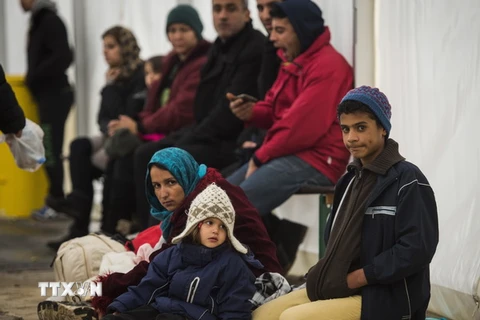 Người di cư chờ làm thủ tục đăng ký lưu trú tại Berlin, Đức. (Ảnh: AFP/TTXVN)
