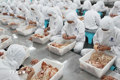 Chế biến hải sản xuất khẩu tại nhà máy ở thành phố Liên Vận Cảng, tỉnh Giang Tô, Trung Quốc ngày 5/7. (Nguồn: AFP/ TTXVN)